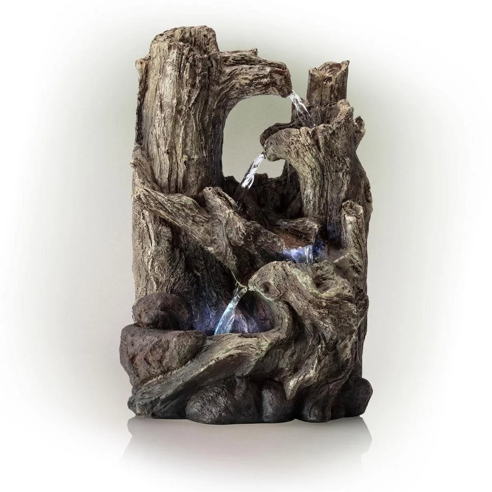 Indoor Rainforest Tabletop Fountain with LED Lights